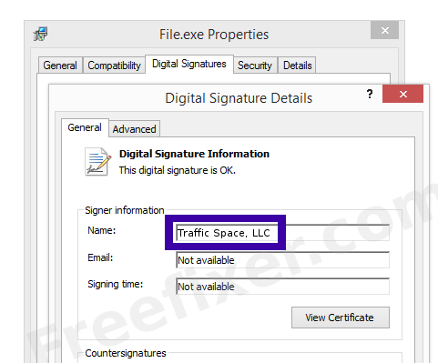 Screenshot of the Traffic Space, LLC certificate